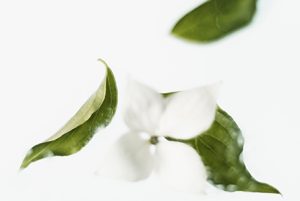 clean beauty with Corine de Farme